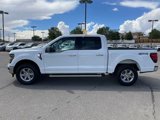Certified 2024 Ford F150 XLT image 2