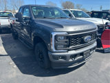 New 2025 Ford F350 XL image 3