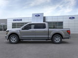 New 2025 Ford F150 XLT w/ Equipment Group 301A Standard image 3