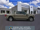New 2025 Ford F150 Lariat w/ Equipment Group 502A High image 2