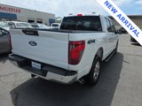 Used 2024 Ford F150 XLT w/ Tow/Haul Package image 2