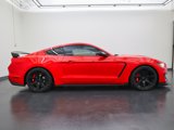 Used 2019 Ford Mustang Shelby GT350R w/ GT350R Equipment Group 920A image 2