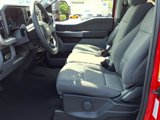 New 2026 Ford F250 XL image 4