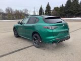 New 2025 Alfa Romeo Stelvio Tributo Italiano w/ Active Assist Plus Package image 3