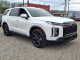 New 2025 Hyundai Palisade XRT image 3