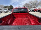 New 2025 Ford F150 XLT image 6