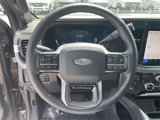 New 2025 Ford F250 Platinum image 4