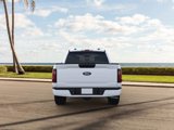 New 2025 Ford F150 STX image 5