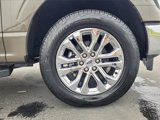 New 2025 Ford F150 XLT image 4