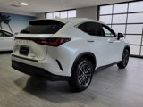 Certified 2025 Lexus NX 350 AWD w/ Premium Package image 6