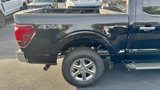 New 2025 Ford F150 Lariat w/ Bed Utility Package image 5