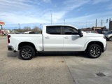 Used 2019 Chevrolet Silverado 1500 LT w/ All-Star Edition image 5