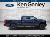New 2025 Ford F250 Lariat w/ Lariat Ultimate Package image 4