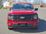 New 2025 Ford F150 XLT w/ Equipment Group 303A High image 2