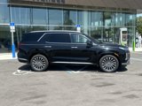 New 2025 Hyundai Palisade Calligraphy image 5