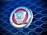 Used 2018 Jaguar F-PACE Premium image 4