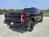 New 2025 Ford F250 Platinum image 3