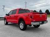 Used 2023 Ford F150 XLT image 5