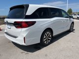 New 2026 Honda Odyssey EX-L image 3