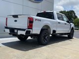 New 2025 Ford F250 4x4 Crew Cab Super Duty image 4
