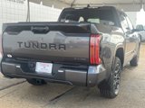 New 2025 Toyota Tundra Platinum image 4