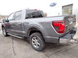 New 2025 Ford F150 XLT w/ Equipment Group 302A MID image 3
