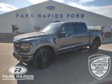 New 2025 Ford F150 XLT w/ Equipment Group 303A High image 1