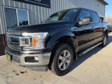 Used 2018 Ford F150 XLT w/ Equipment Group 302A Luxury image 2