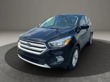 Used 2019 Ford Escape SE image 3