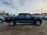New 2025 Ford F150 XLT w/ Equipment Group 301A Standard image 4