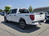 New 2025 Ford F150 STX w/ Equipment Group 200A image 6