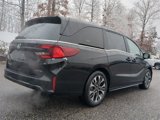 New 2025 Honda Odyssey Elite image 4