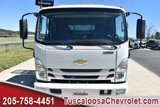 New 2025 Chevrolet Low Cab Forward image 3