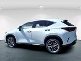 New 2026 Lexus NX 350 AWD w/ Premium Package image 6