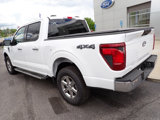 New 2025 Ford F150 XLT image 3