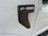 New 2025 Ford F150 Tremor image 5