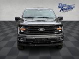 New 2025 Ford F150 XLT w/ Equipment Group 303A High image 2