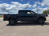 New 2025 Ford F150 Tremor w/ Mobile Office Package image 4
