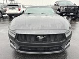 Used 2024 Ford Mustang Coupe image 2