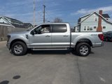 New 2025 Ford F150 XLT w/ Equipment Group 301A Standard image 6