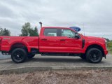 New 2025 Ford F250 XL image 4