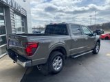 New 2025 Ford F150 XLT w/ Equipment Group 302A MID image 3
