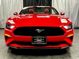 Used 2021 Ford Mustang Premium w/ Equipment Group 201A image 2