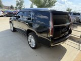 Used 2019 Cadillac Escalade Platinum image 6