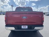 New 2025 Ford F150 XLT image 4