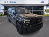 New 2025 Ford Expedition Platinum w/ Stealth Appearance Package image 2