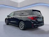 New 2026 Honda Odyssey Elite image 4