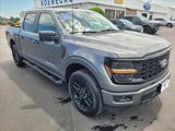 New 2025 Ford F150 STX w/ STX Black Appearance Package image 3