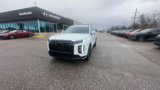 New 2025 Hyundai Palisade Calligraphy image 3