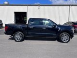 New 2025 Ford F150 Platinum image 4